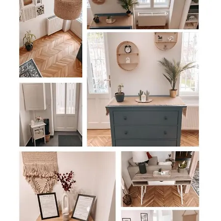 Apartment Owl *
