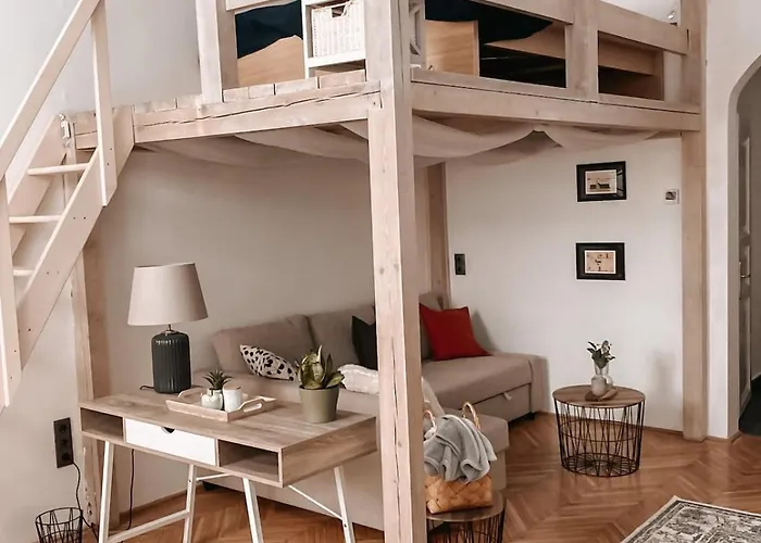 Owl * 부다페스트