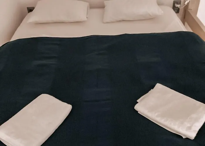 Owl * 부다페스트